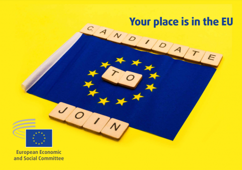 Call to EU Candidate Countries' Civil Society