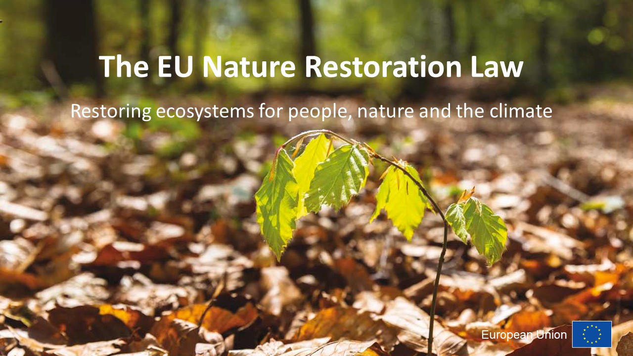 The Eu Nature Restoration Law European Economic And Social Committee