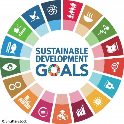The EESC's enhanced role in accelerating progress on the SDGs | EESC